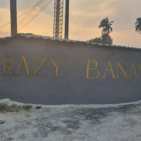 מלון טראט Crazy Monkey מראה חיצוני תמונה